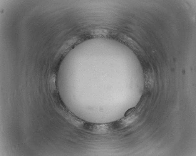 X0000076310717200610161619