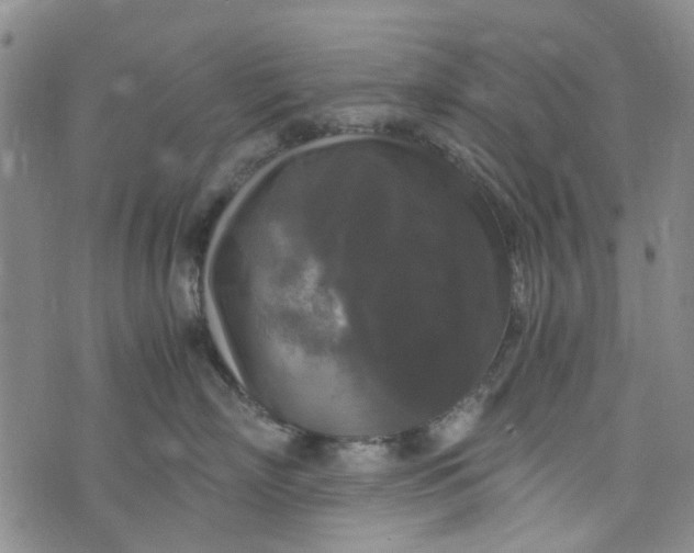 X0000076310718200610161619