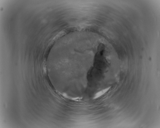 X0000076310719200610161619