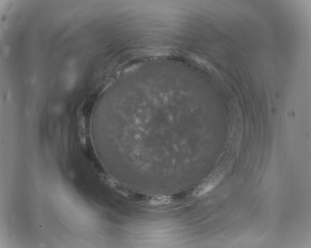 X0000076310720200610161619