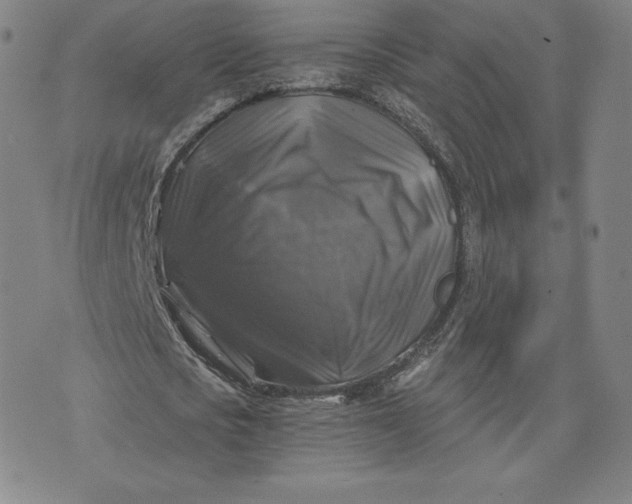 X0000076310721200610161618