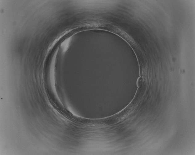 X0000076310722200610161618