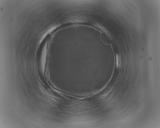 X0000076310723200610161618