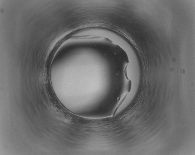 X0000076310724200610161618