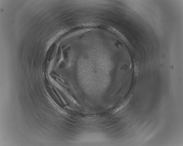 X0000076310725200610161618