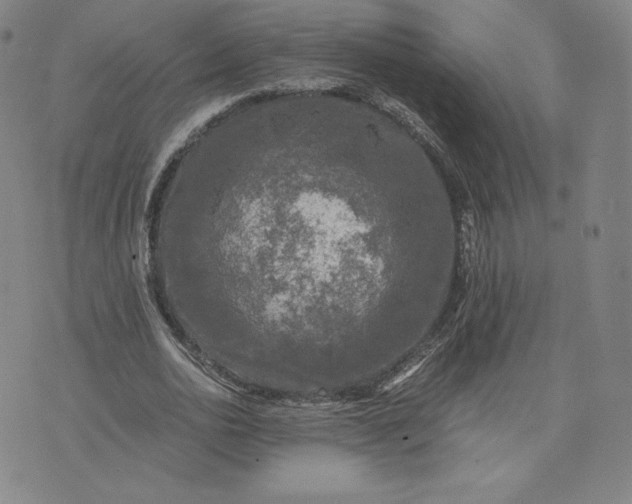 X0000076310726200610161618