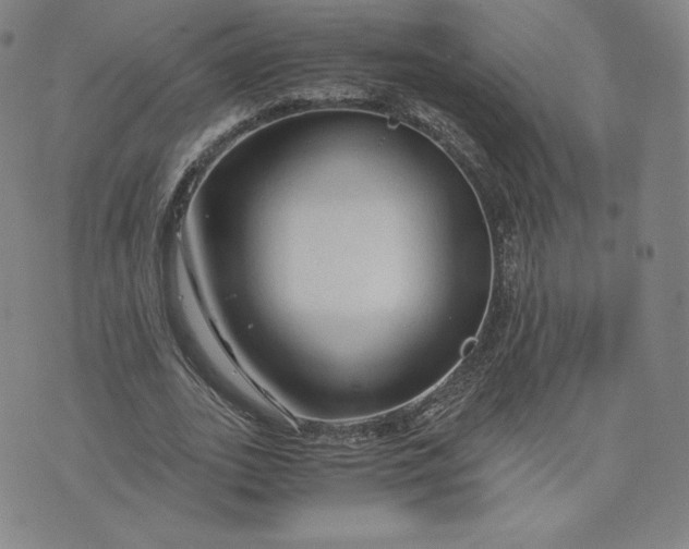 X0000076310727200610161618