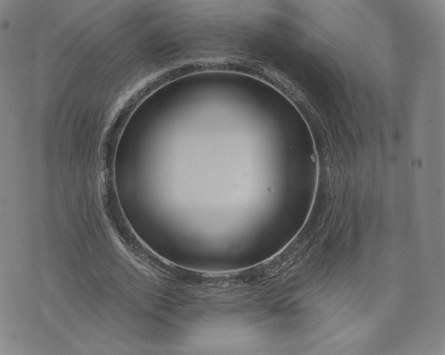 X0000076310728200610161618