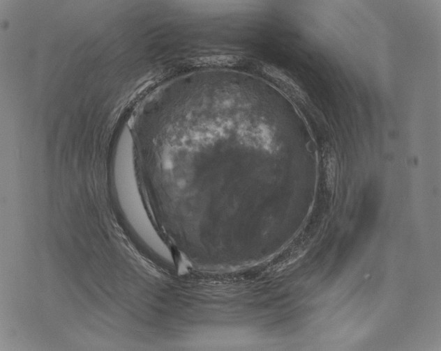 X0000076310729200610161618