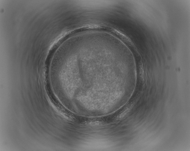 X0000076310730200610161618