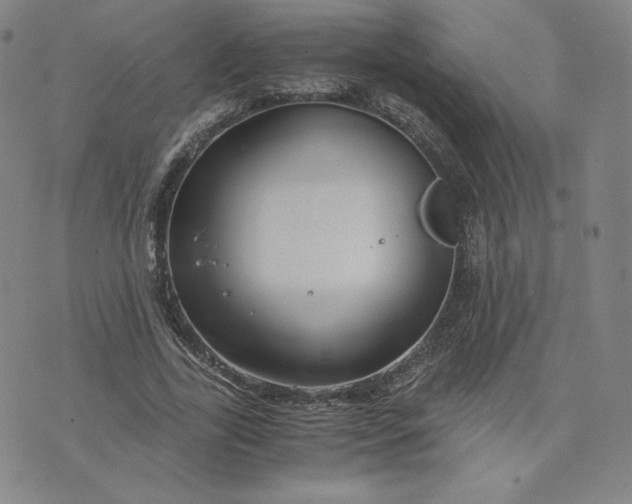 X0000076310731200610161618