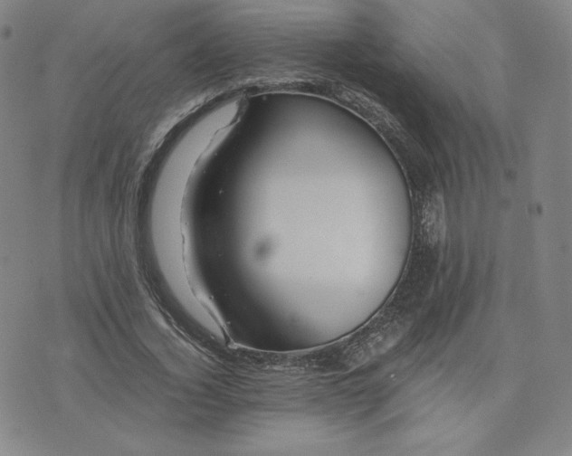 X0000076310732200610161618