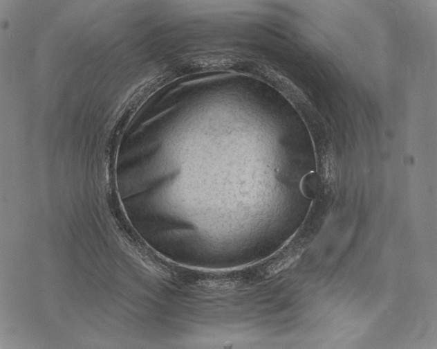 X0000076310733200610161618