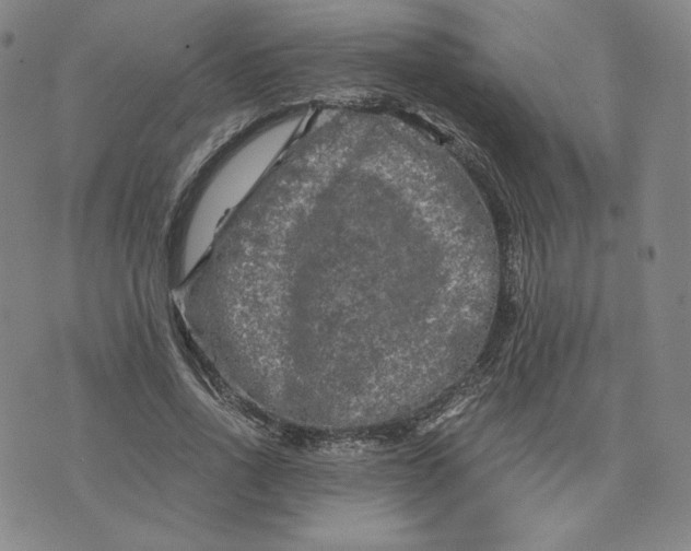 X0000076310734200610161618