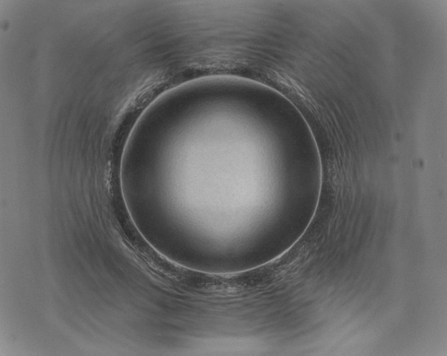 X0000076310735200610161618