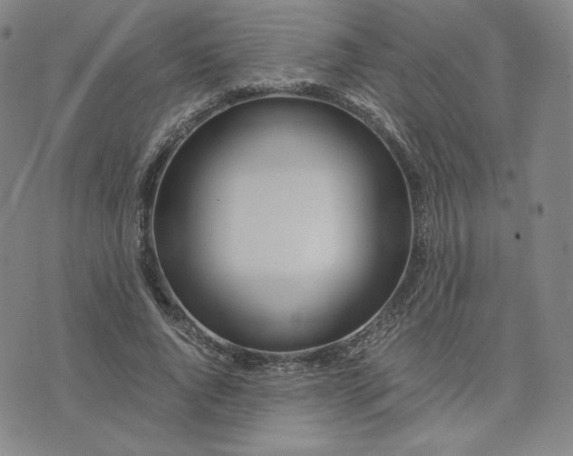 X0000076310736200610161618