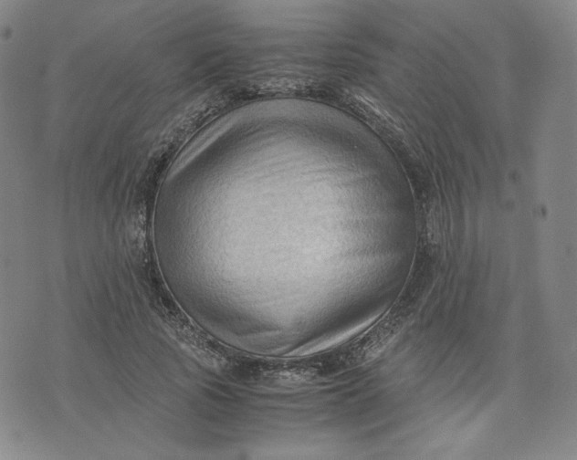 X0000076310737200610161618