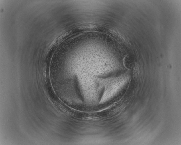 X0000076310739200610161618