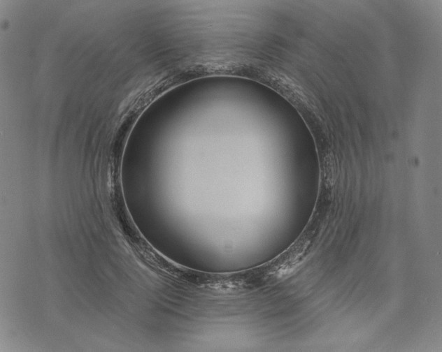 X0000076310740200610161618