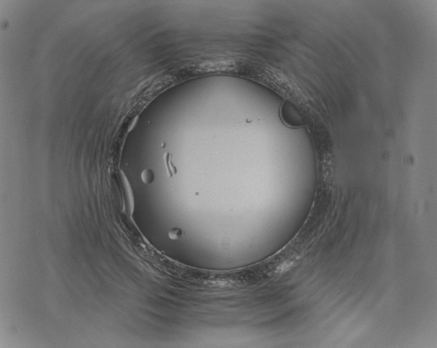 X0000076310741200610161618