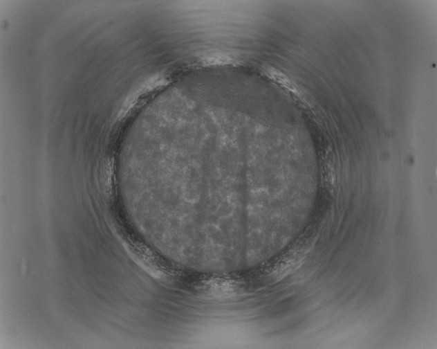 X0000076310742200610161618