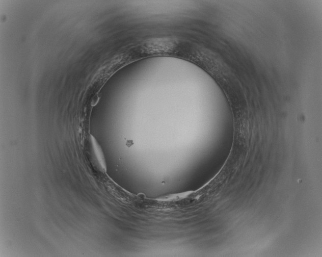 X0000076310743200610161618