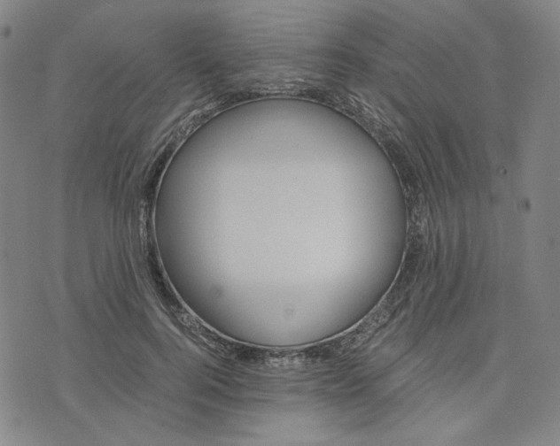 X0000076310744200610161618