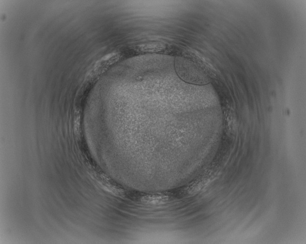 X0000076310745200610161618