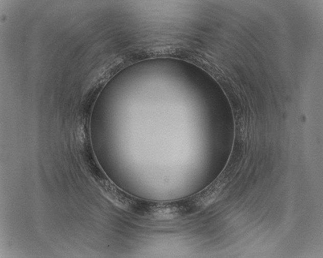 X0000076310746200610161618