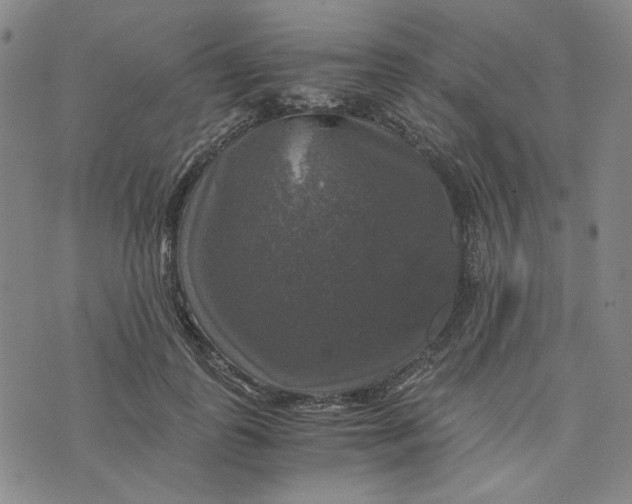 X0000076310747200610161618