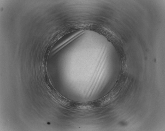 X0000076310749200610161618