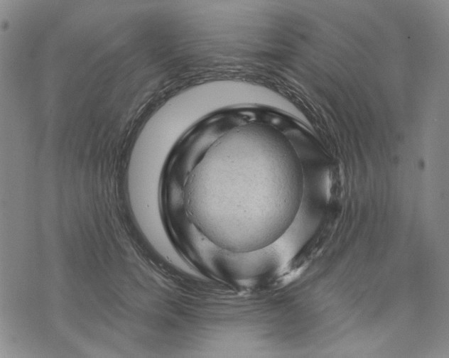 X0000076310750200610161618