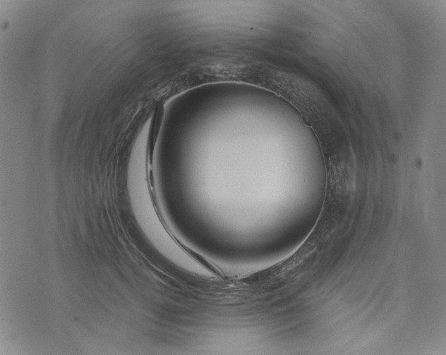 X0000076310752200610161618