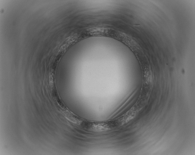 X0000076310753200610161618