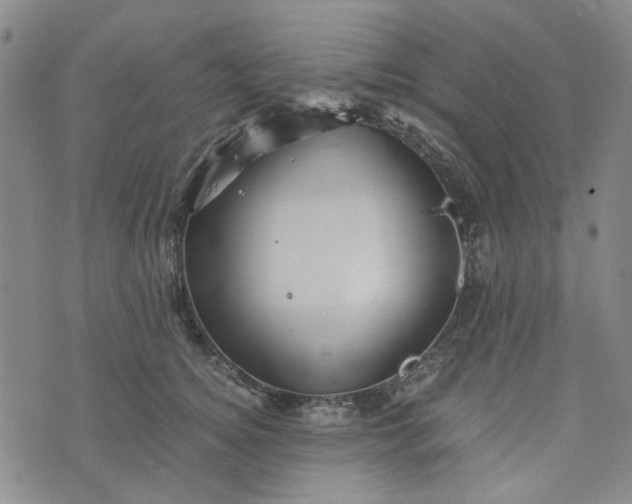 X0000076310756200610161618