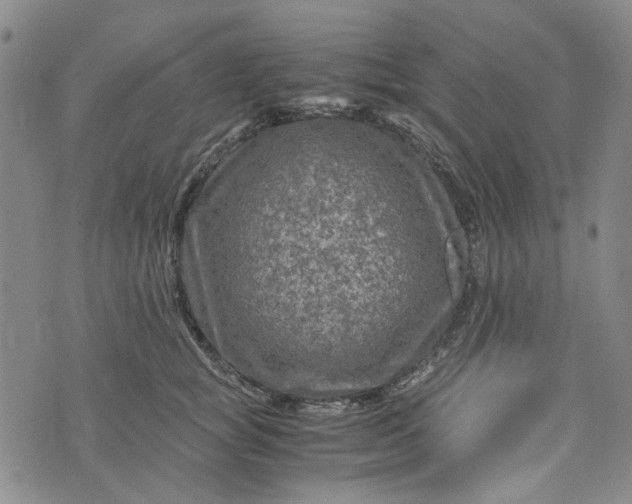 X0000076310757200610161618