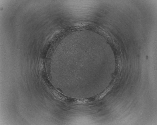 X0000076310758200610161618