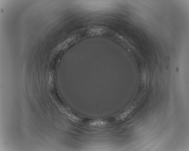 X0000076310759200610161618