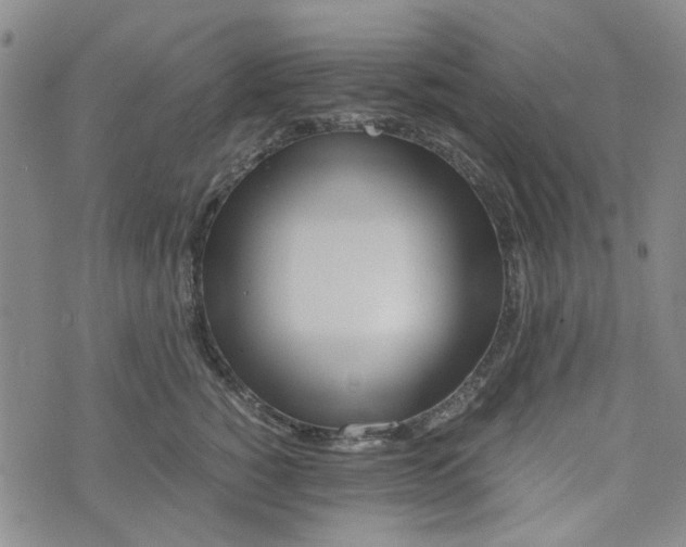 X0000076310760200610161618