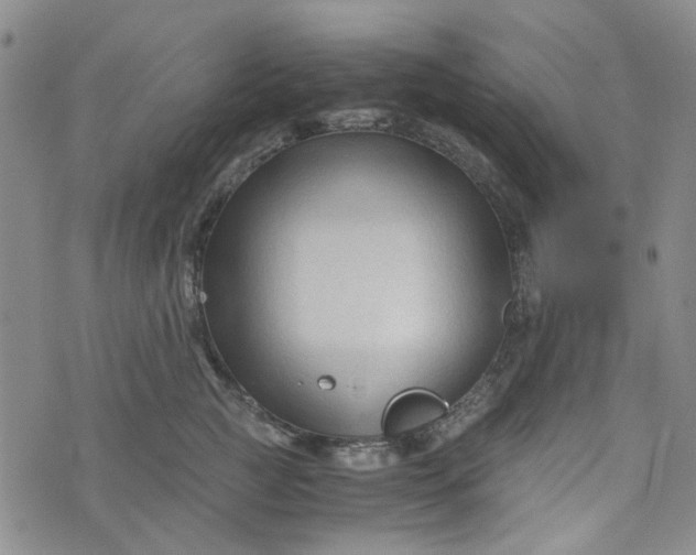 X0000076310761200610161618