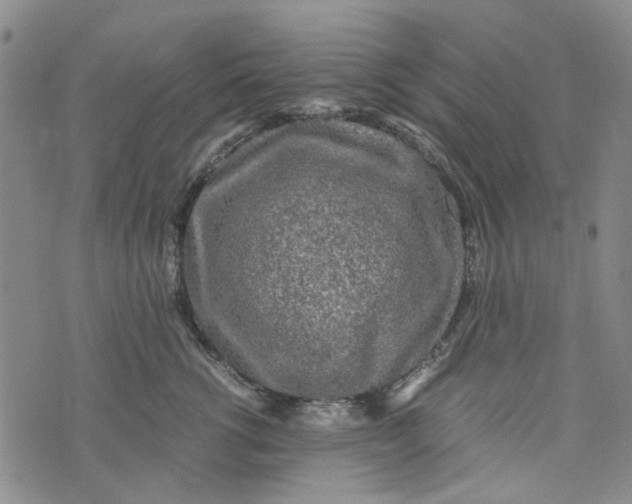 X0000076310762200610161618