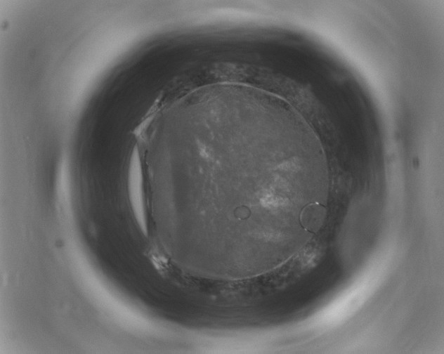 X0000076310765200610161618