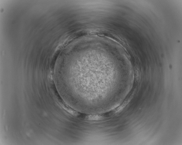 X0000076310766200610161618