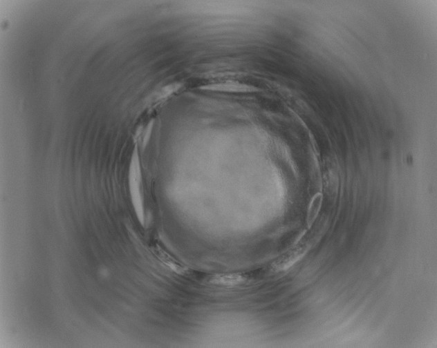 X0000076310767200610161618