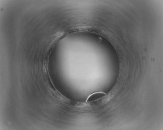 X0000076310768200610161619