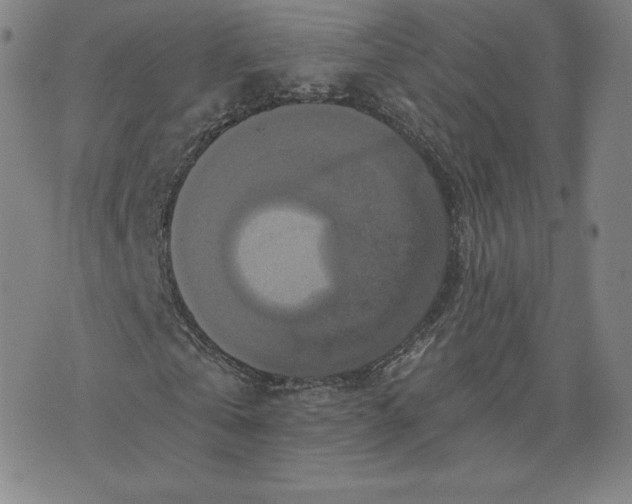 X0000076310769200610161618