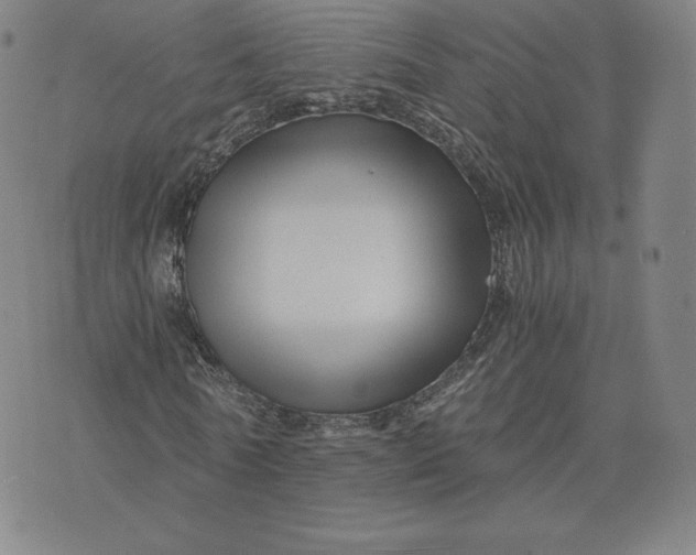 X0000076310770200610161618