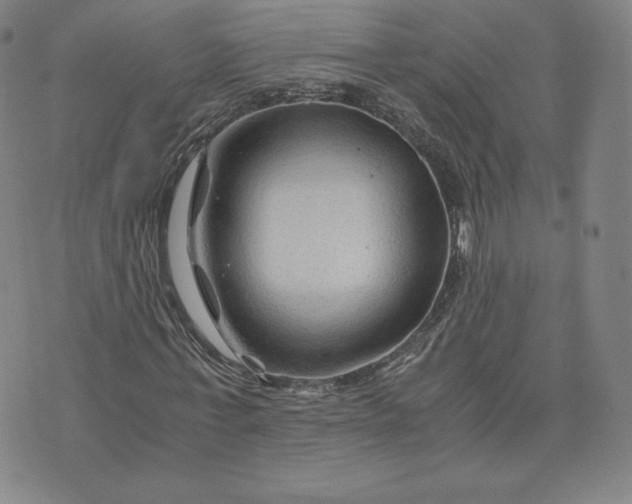 X0000076310771200610161618