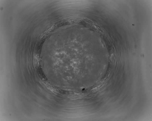 X0000076310772200610161618