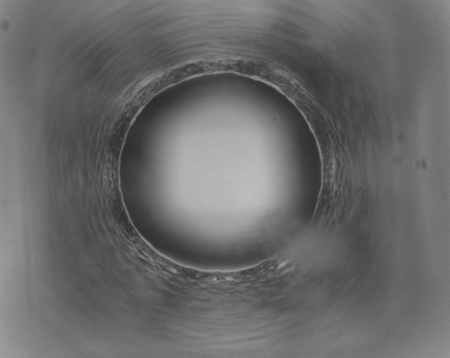 X0000076310773200610161618